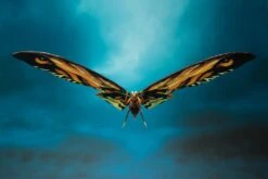 Bandai S.H. Monsterarts Godzilla: King Of The Monsters Mothra And Rodan Action Figure -Hasro Model Shop 4573102574466b b10eccf3 7265 4a09 a975 d3ad177d2f3f