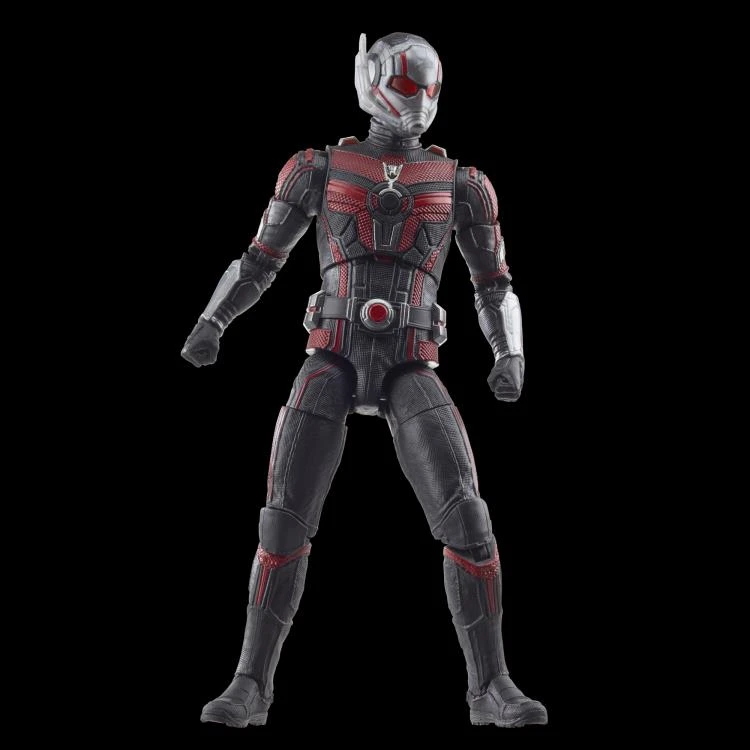Hasbro Marvel Legends Ant-Man & The Wasp: Quantumania Wave 1 Ant-Man (Cassie Lang BAF) Action Figure 7 Hasbro Marvel Legends Ant-Man & The Wasp: Quantumania Wave 1 Ant-Man (Cassie Lang BAF) Action Figure - Image 5
